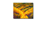 Aspen Falls - contemporary abstract landscape painting by artist Katiel.