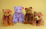 Beanie Babie Bears for Iraqi Orphans Donated by Ty Inc.