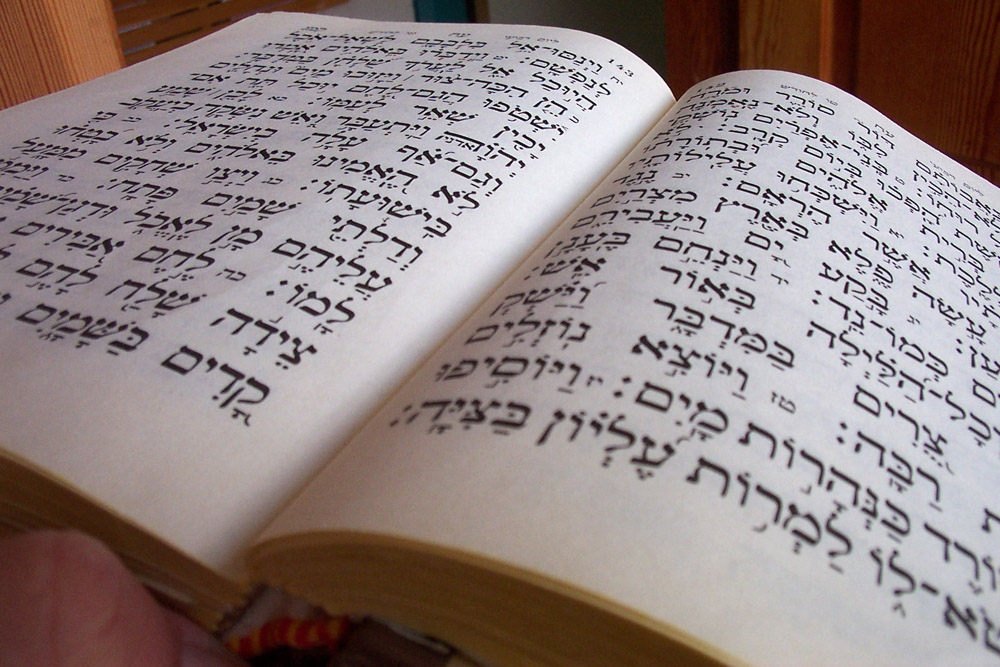 jewish bible study