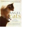 Angel Cats: Divine Messengers of Comfort