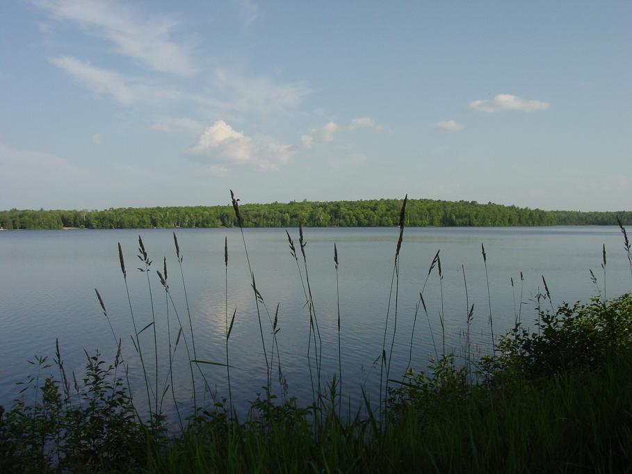 Invest In Real Estate With a 401K or Roth IRA Wisconsin And Michigan