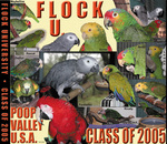 Flock U Yearbook Cover