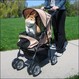 Jeep&#174; Wrangler Pet Stroller - A Jeep&#174; Just for Pets