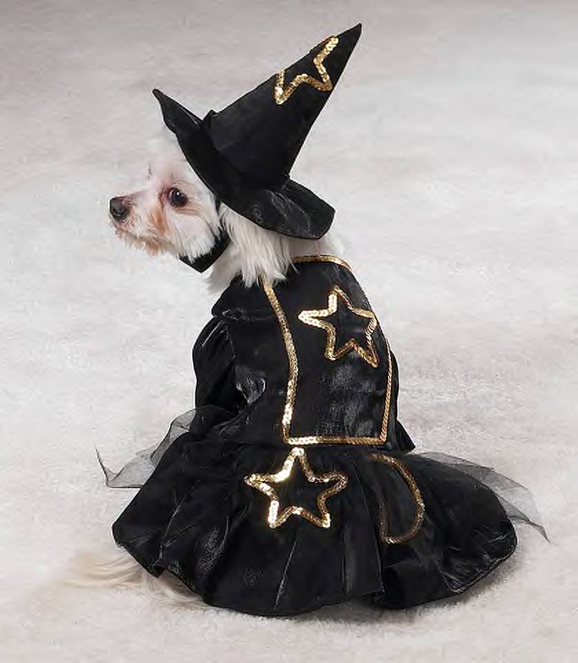 PetGoodies Releases Their Howlin' Cute Line Of Halloween Costumes For Pets