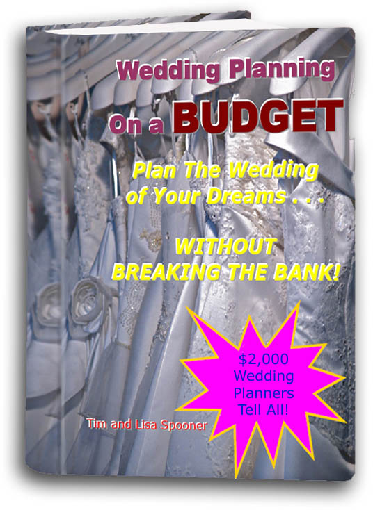 Wedding Planning on a Budget eBook eBook cover