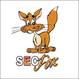 SEO Fox Offers Advice to Help Businesses Avoid Unethical Search Engine...