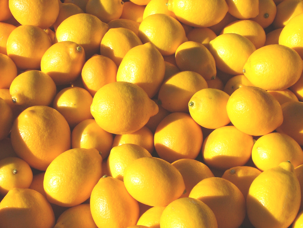 MeyerLemons.jpg