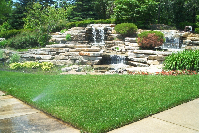 Landscaping Ideas Guru Diagnoses and Cures Your Lawn and ...