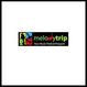 MelodyTrip Announces Award Winners for 1st Annual Festies, the 1st...