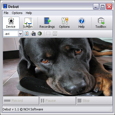 nch software screen recorder