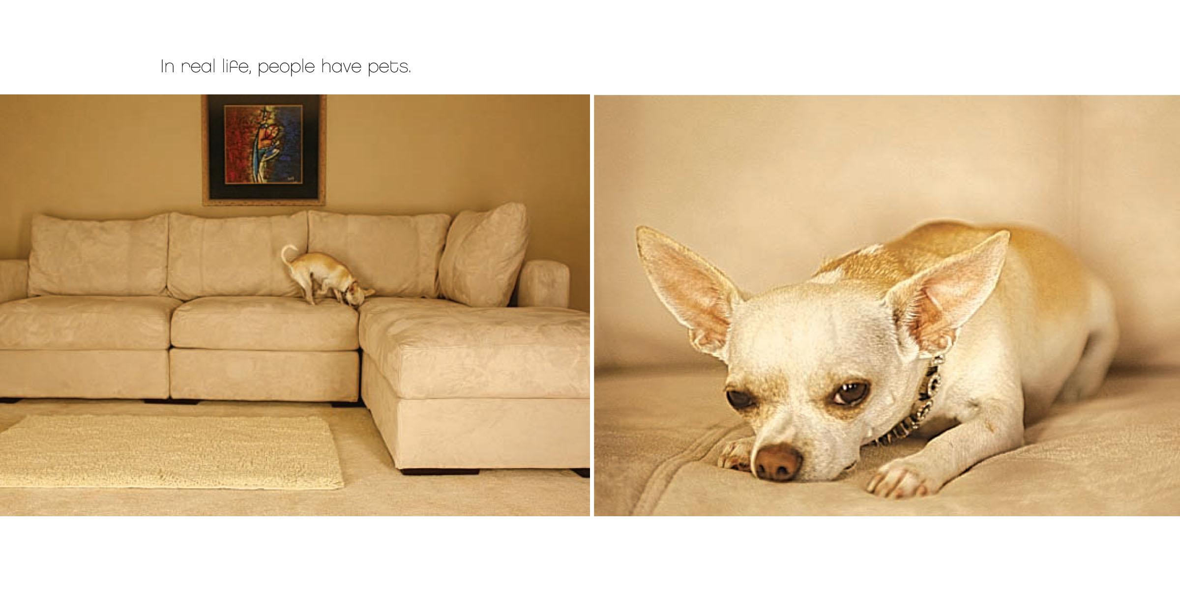 Sofa Covers For Pets