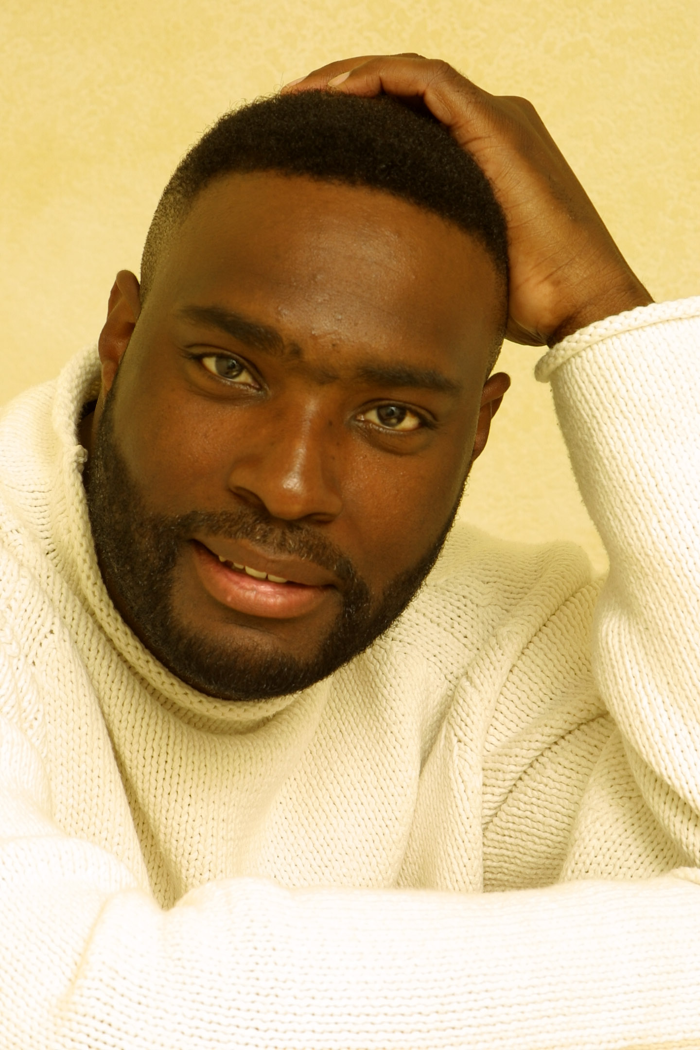 essay on antwone fisher essay on antwone fisher