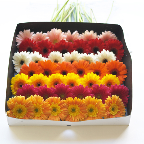 The Grower 39s Box offers many varieties of wedding flowers and wholesale 
