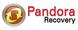 Recovery Logo