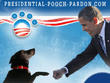Nation's Largest Nonprofit Pet Adoption Website Reacts to 60...