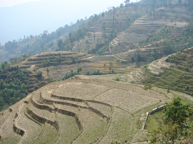 despite-recession-political-turmoil-nepali-coffee-farmer-brews