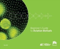 Beginner's Guide to Aviation Biofuels