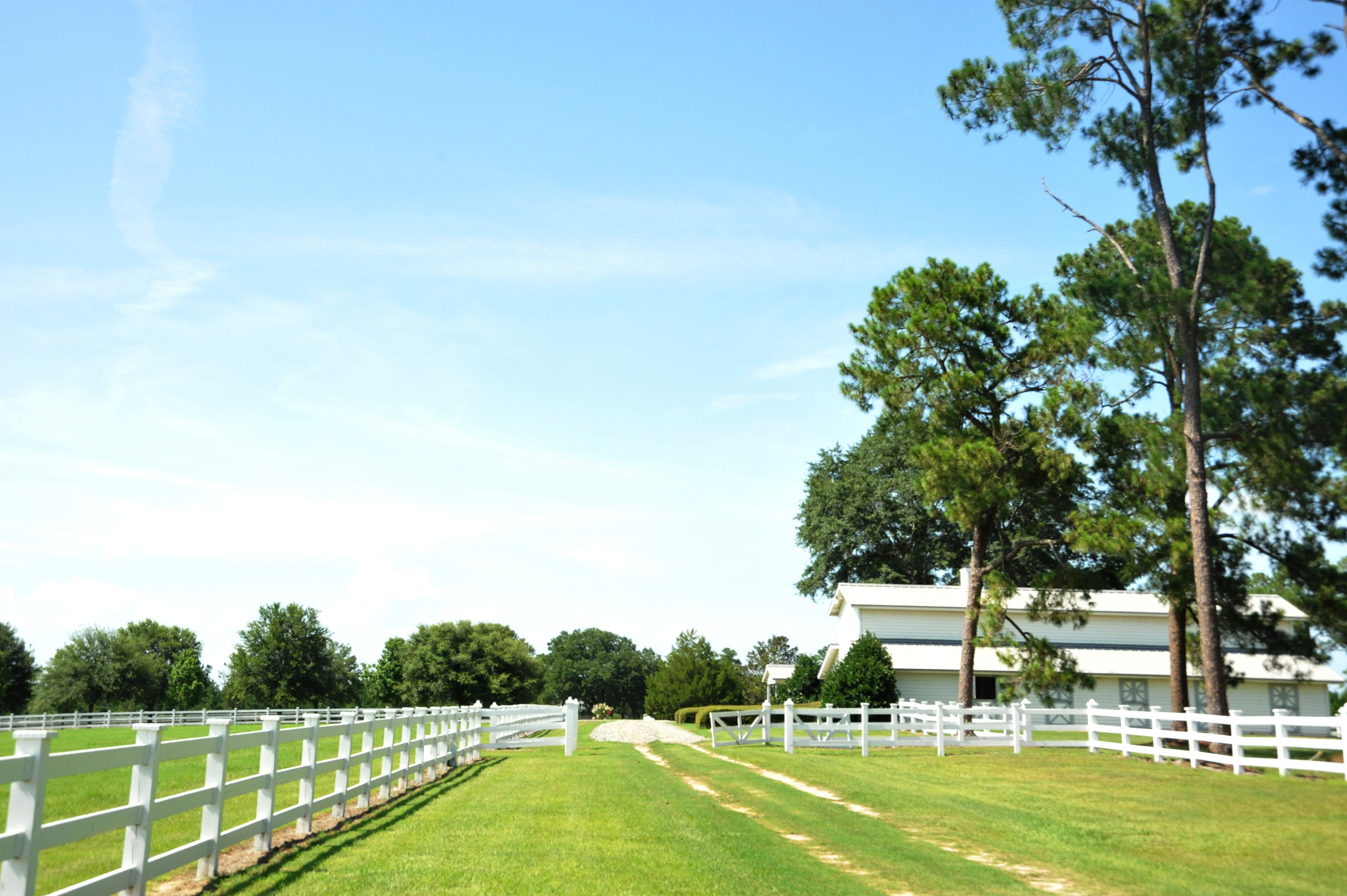 Florida and Georgia Real Estate Auctions Offer 9,000 +/ Acres in 10 