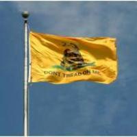 Don't Tread on Me Flag/Gadsden Flag