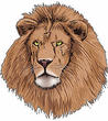 Adopt-A-Student Program Lauches at St. Mark the Evangelist Catholic...
