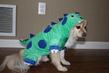 $500 Prize for Best Dog Halloween Costumes