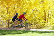 Glenwood Springs, Colorado Free For All This Fall