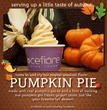 Cefiore Frozen Yogurt Announces New Pumpkin Pie Flavor for the Fall...