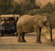 MyAdventures.com Launches Video Contest to Win a Free Adventure for...