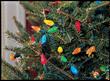 New LED Christmas Lights and Other Outdoor Holiday Lights Now...