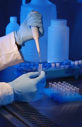 test de paternité, Vaterschaftstest, test ADN de fratrie et paternité
