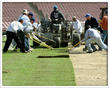 Rose Bowl to Get Fresh Field New Year's Day for 2010 Citi BCS...