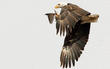 Call for Entries: National Wildlife Announces 40th Annual Photo...