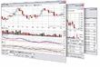 Personal Stock Monitor Simplifies Tracking Stock Options