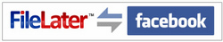 free tax extension
