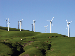 Wind turbines provide green energy alternative.