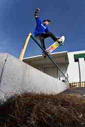 Skateboarder Ryan Sheckler