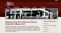 New York City Personal Injury Law Website