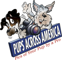 Pups Across America