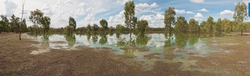 Hattah Lakes wetlands in northern Victoria