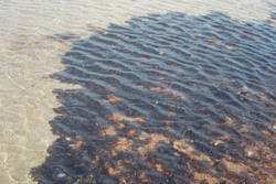 BP Oil Spill Spreads Inland