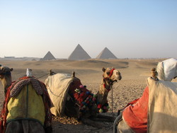 The Travel Department Launch Autumn 2010 'Escorted Egypt' Tour Range