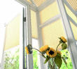 Learn more about conservatory blinds at July garden shows