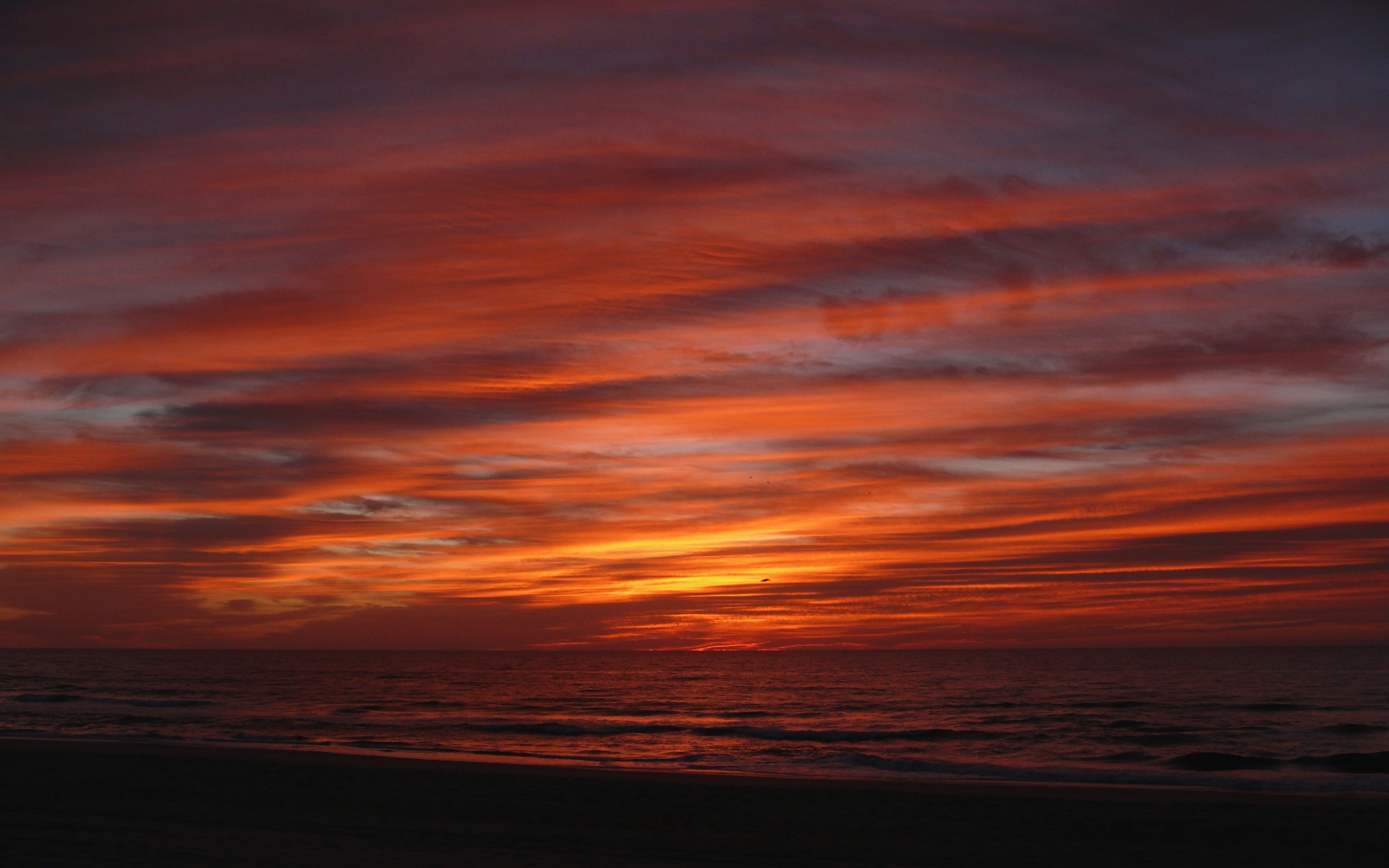 sun rise beach