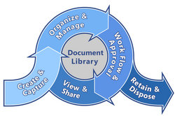 Document Management Lifecycle