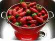 Cookingpanda.com Your Online Cooking School and Tips -- Get All the...