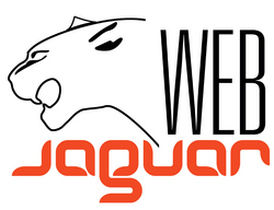 Your Business Powered by WebJaguar