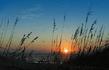 Seaside Vacations Lists the Top 10 Reasons to Visit the Outer Banks in...