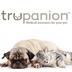 Trupanion Celebrates Pet Insurance During National Pet Health Insurance