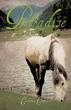 Exhilarating New Xulon Novel Full of Unexpected Twists and Turns