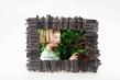 Great Photo Makes Perfect Holiday Card and Welcomed Gift
